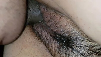 Anal Pov D...